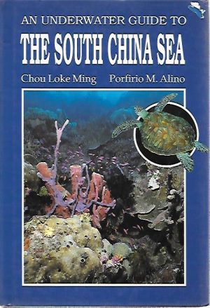 UNDERWATER SOUTH CHINA SEA