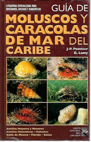 MOLUSCOS Y CARACOLAS MAR CARIBE