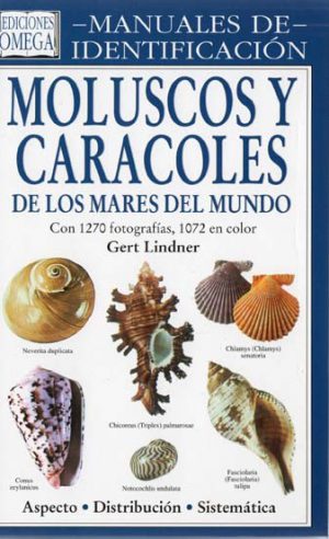 MOLUSCOS Y CARACOLES DE LOS MARES MUNDO