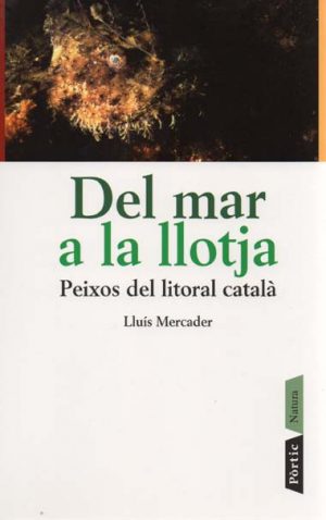 DEL MAR A LA LLOTJA