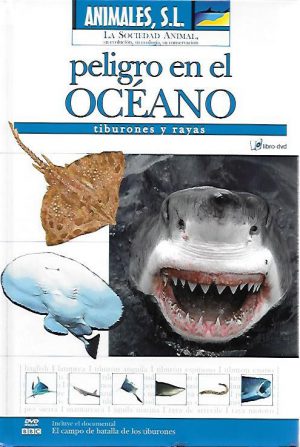 PELIGRO EN EL OCEANO. TIBURONES Y RAYAS