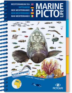 pictolife mar mediterráneo