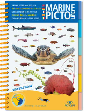 pictolife océano índico y mar rojo