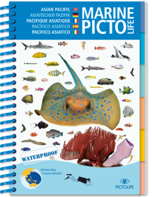 pictolife pacífico asiático