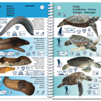 MACARONESIA PICTOLIFE - Imagen 3