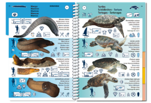 MACARONESIA PICTOLIFE - Imagen 3