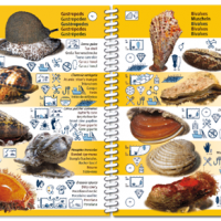 MACARONESIA PICTOLIFE - Imagen 2