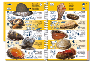 MACARONESIA PICTOLIFE - Imagen 2