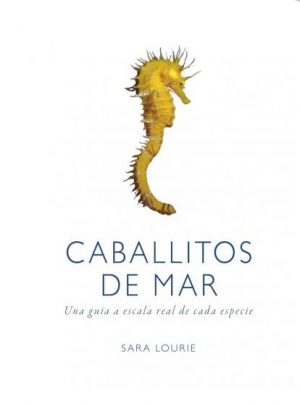 CABALLITOS DE MAR