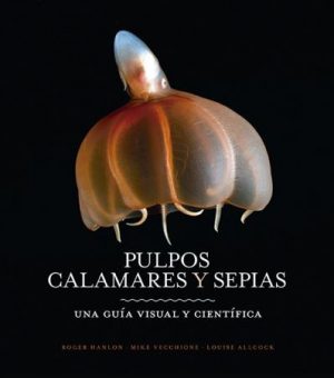 PULPOS CALAMARES Y SEPIAS