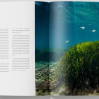 THREE KNOTS MAG 1