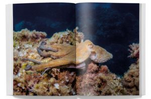 THREE KNOTS MAG. Nº2 - Imagen 3