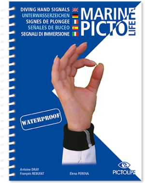 pictolife señales de buceo